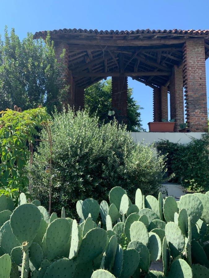 Ca' Degli Ovi B&B Valenza Exterior photo
